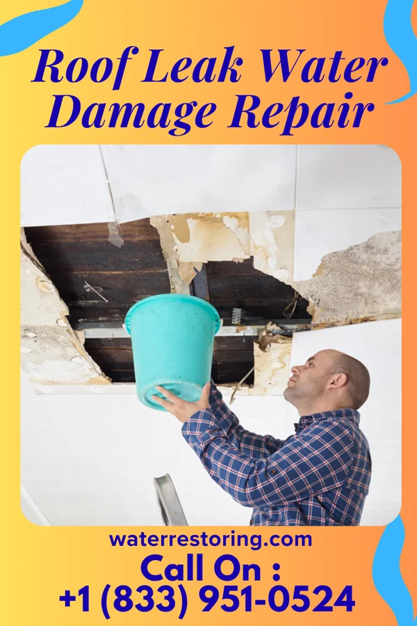Roof Leak Water Damage Repair in Danville, PA