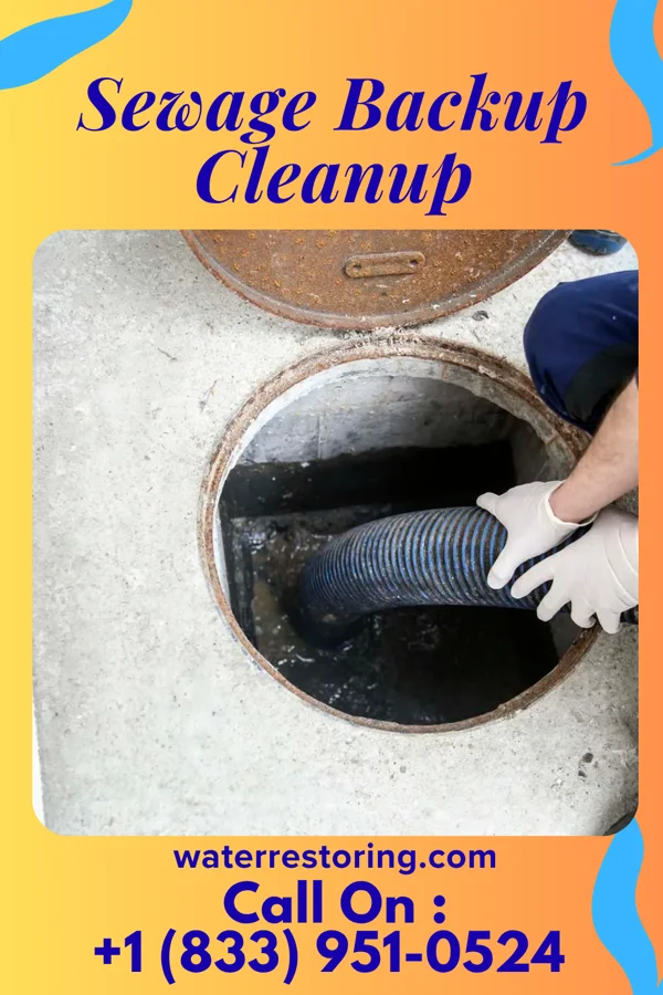 Sewage Backup Cleanup in Danville, PA
